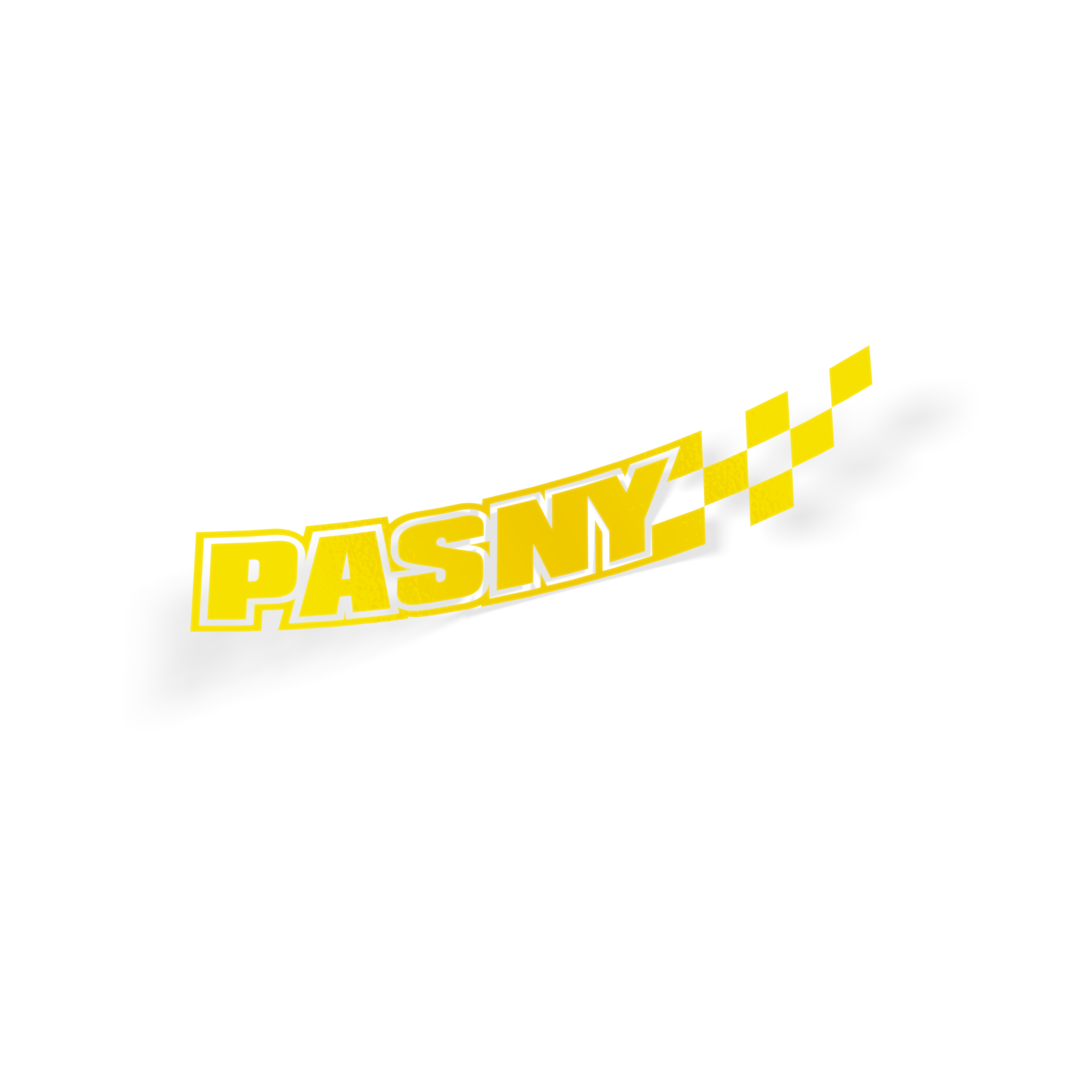 PASNY MOTORSPORTS DECAL - 10IN